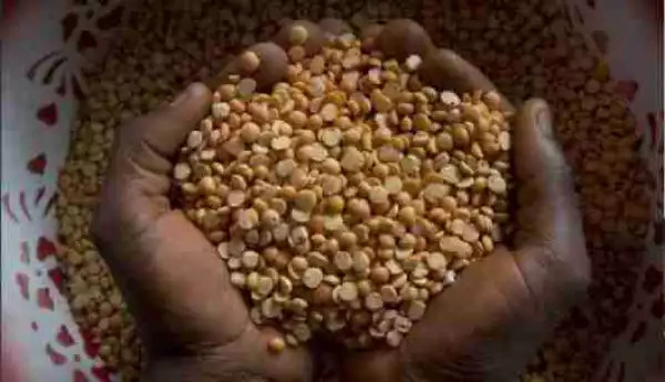 India Offers To Buy N367bn Pulse Beans From Nigeria